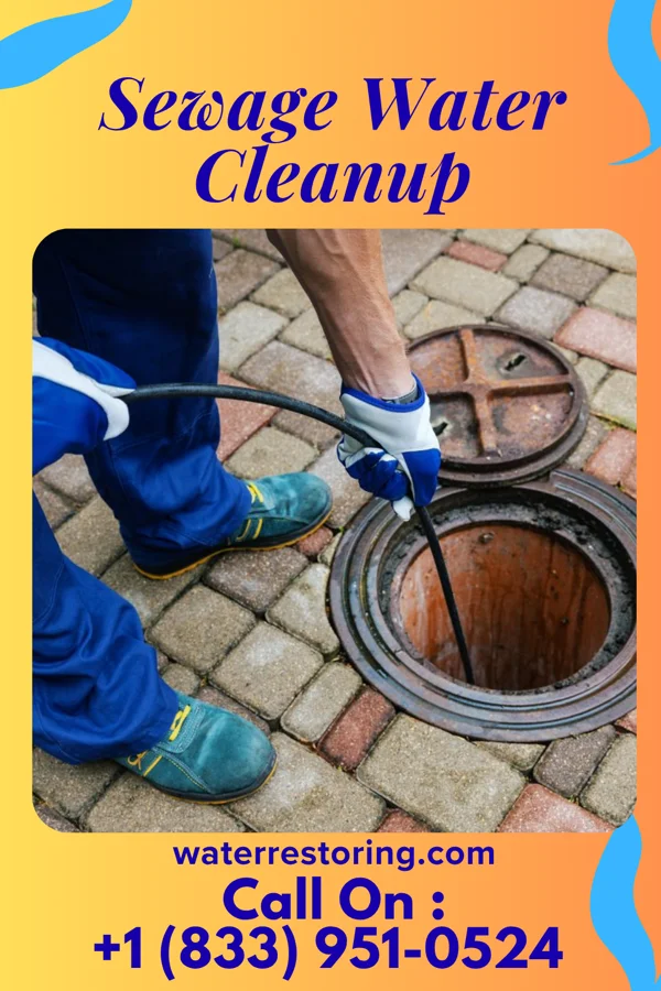 Sewage Water Cleanup in Yantis, TX